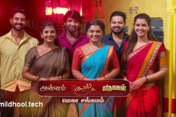Annam Kayal Marumagal Mega Sangamam